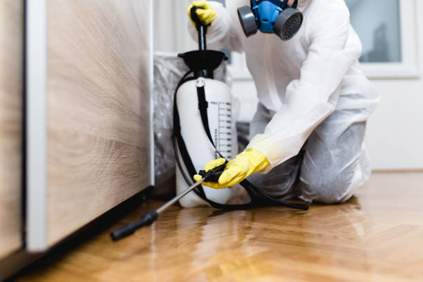  Meriden, CT Pest Control Pros