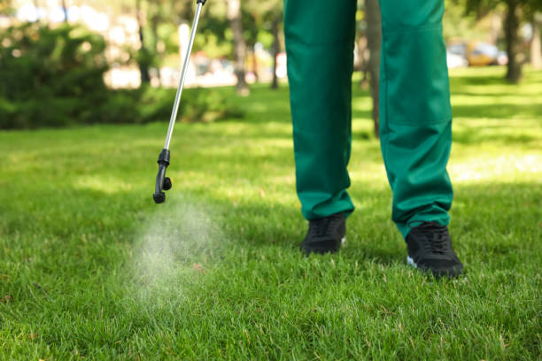 Best Ant Control Services  in Meriden, CT