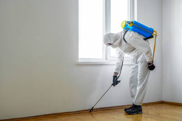 Meriden, CT Pest Control Company